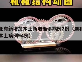 湖北有新增加本土新增确诊病例2例（湖北新增本土病例94例）