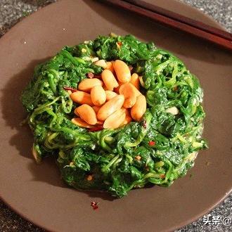 猫先生菠菜,猫先生菠菜 V3.52.9绿色纯净版/安卓通用版 猫先生菠菜,猫先生菠菜 V3.52.9绿色纯净版/安卓通用版