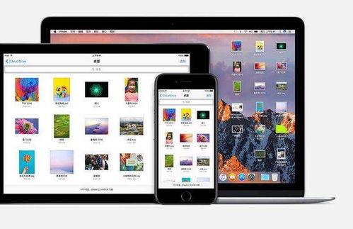 ac米兰官网中心版V85.91.255.180ios版本-好用 ac米兰官网中心版V85.91.255.180ios版本-好用