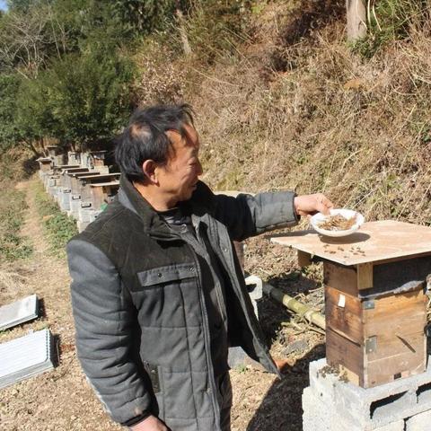 新门内资料和内部资料内容详解绿色版V78.26.224.61安卓系统版本-推荐 新门内资料和内部资料内容详解绿色版V78.26.224.61安卓系统版本-推荐